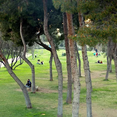 Joaquin Sorolla Daire Valensiya